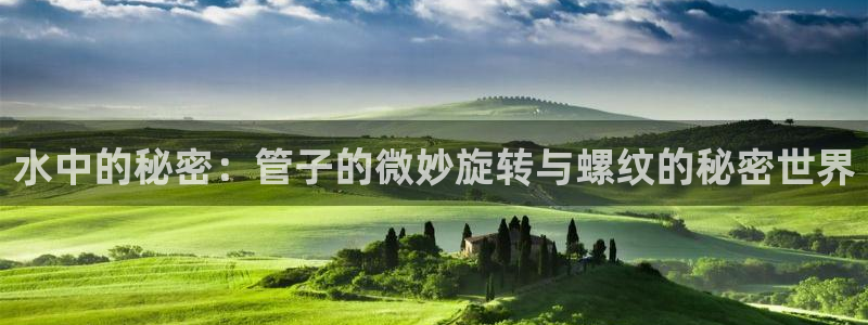 天辰娱乐天辰宝
