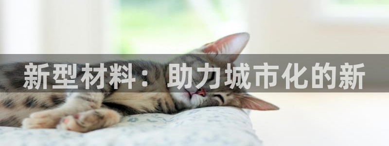天辰娱乐平台app下载