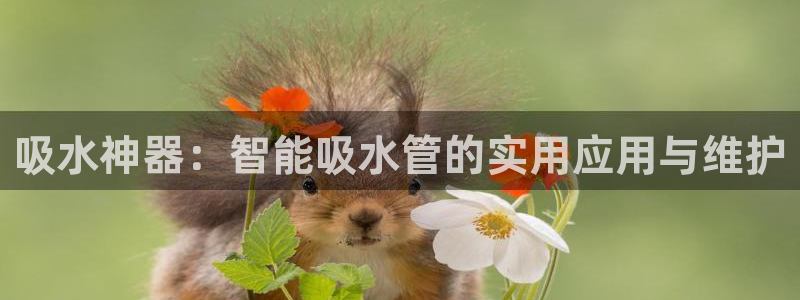 天辰娱乐首页