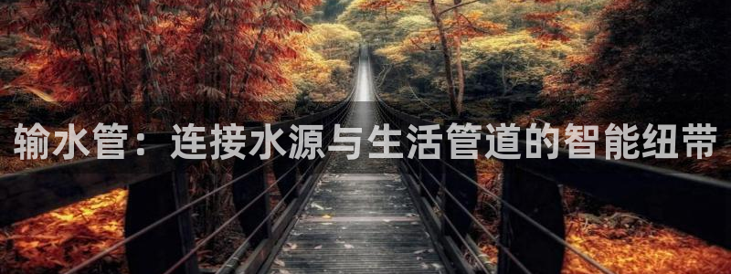 天辰娱乐指定