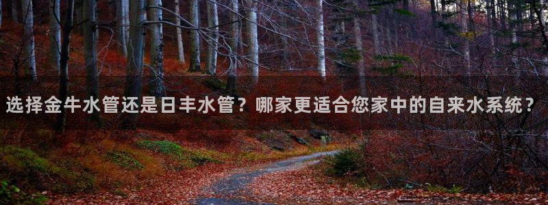 天辰娱乐线路
