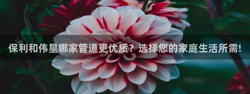 手机上怎么下载天辰娱乐