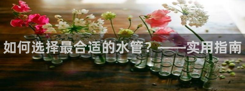 天辰娱乐登陆平台