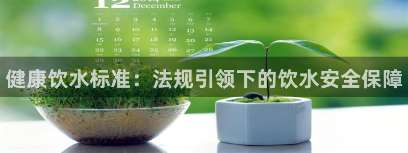 天辰娱乐小姐