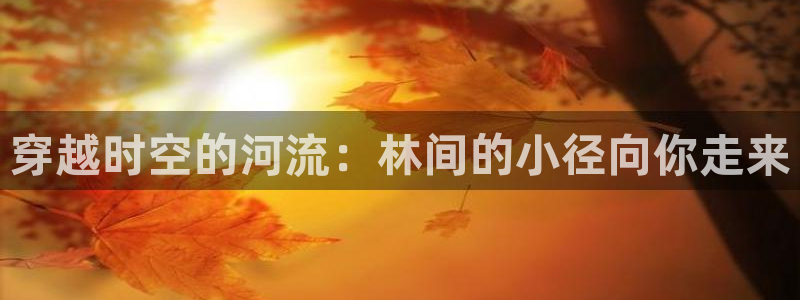 天辰娱乐代理
