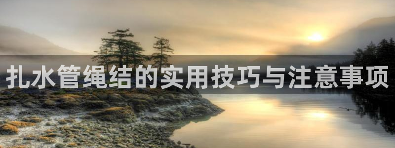 天辰娱乐公司