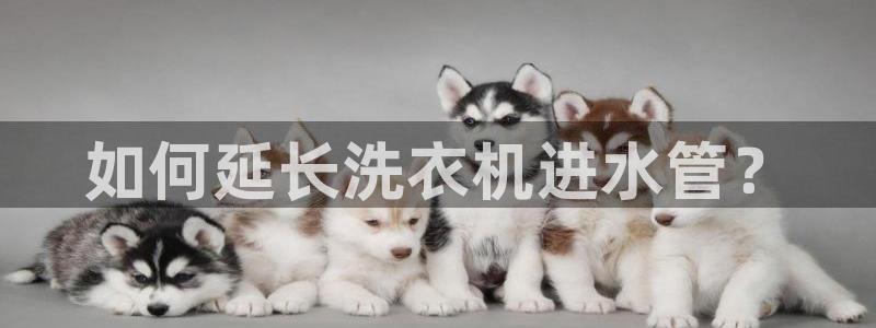 天辰娱乐官网平台下载