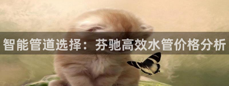 天辰娱乐登录测试