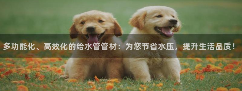 天辰娱乐平台登录账号