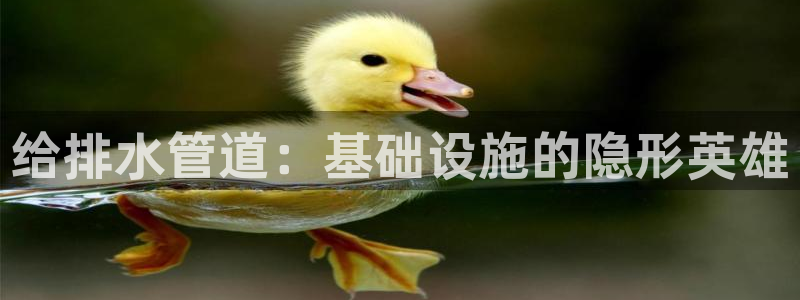 天辰娱乐平台靠谱么