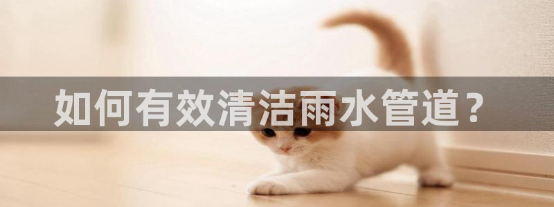 天辰娱乐登陆平台