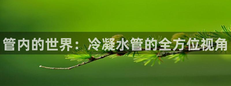 天辰娱乐游戏平台怎么样