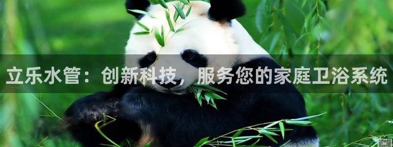 天辰娱乐登陆平台