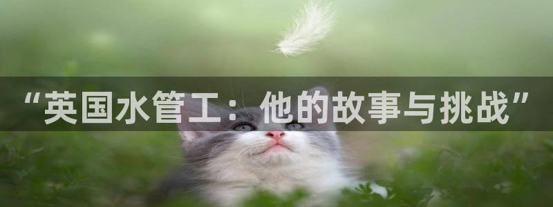 天辰娱乐平台测速