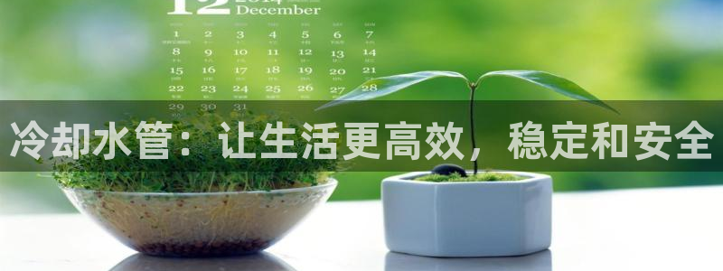 天辰娱乐平台app下载