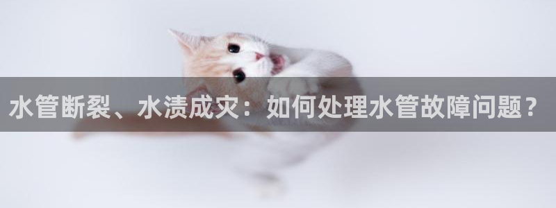 天辰娱乐1980