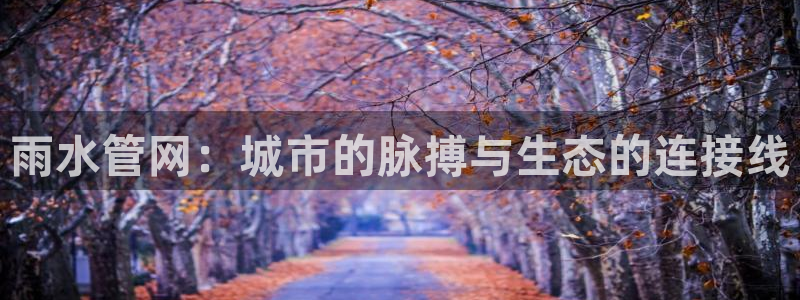 天辰娱乐简介