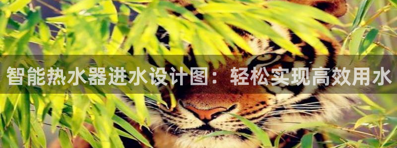 天辰娱乐best