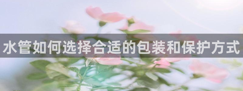 天辰娱乐上级