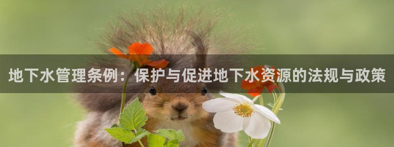 天辰娱乐557448
