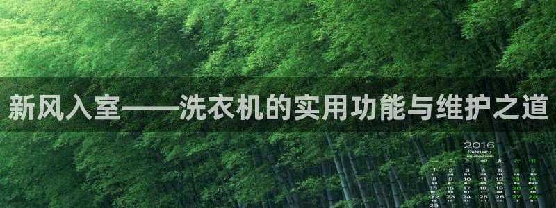 广东天辰娱乐