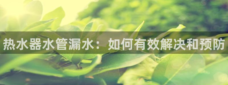 天辰娱乐厕所
